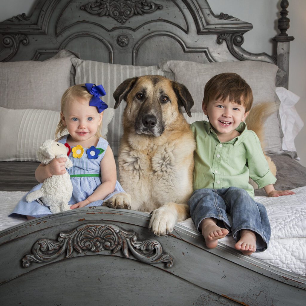 Family Portrait with Kids and their Pet - Family Portraits - Celebrations Moments