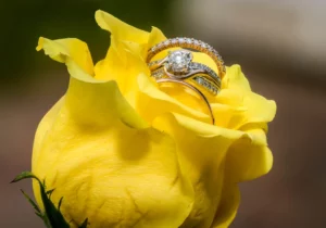 Yellow Rose with Wedding Bands