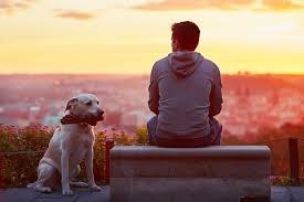 Professional Idaho Portrait Photographer Sunset with Owner and Dog