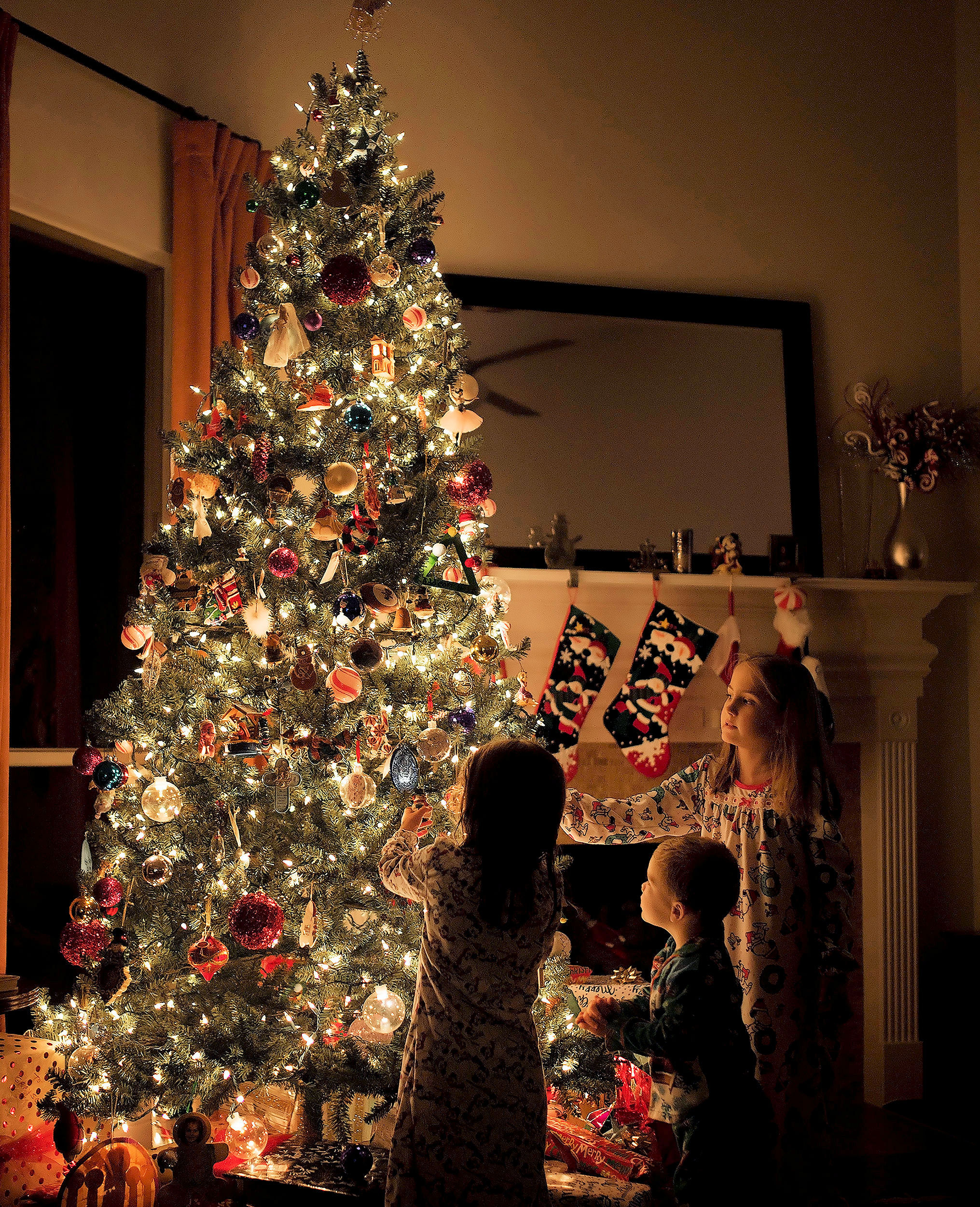 Idaho Family Holiday Portraits: Children Enjoying Christmas Tree