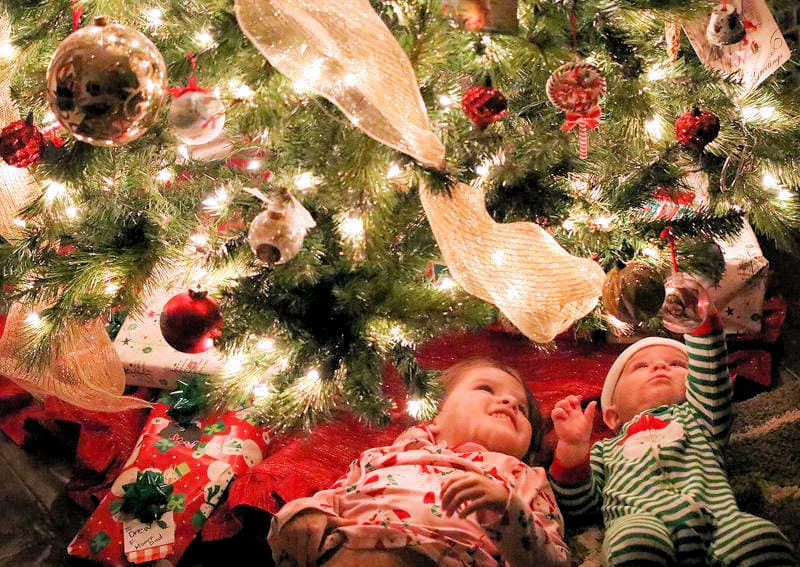 Idaho Family Holiday Portraits: Children Under Christmas Tree